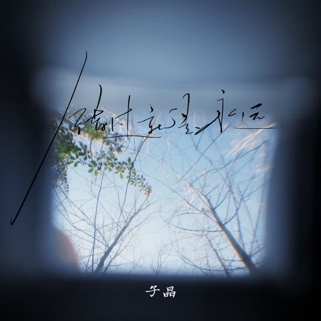 【中古CD】諏訪根自子 / バッハ：無伴奏ヴァイオリン・ソナタ・パルティータ全曲 Amazon.co.jp: バッハ:無伴奏ヴァイオリン・ソナタとパルティータ