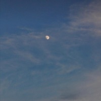 For Her (feat. Twilight⁴⁴⁴) - Single - Lil Kush