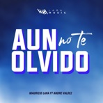 AUN NO TE OLVIDO (feat. Andre Valdez) - Single