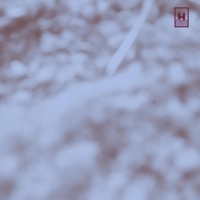 Fossils (feat. Sophia Tomelleri) - Roberto Pianca