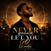 peeter briez - NEVER GONNA LET YOU GO artwork