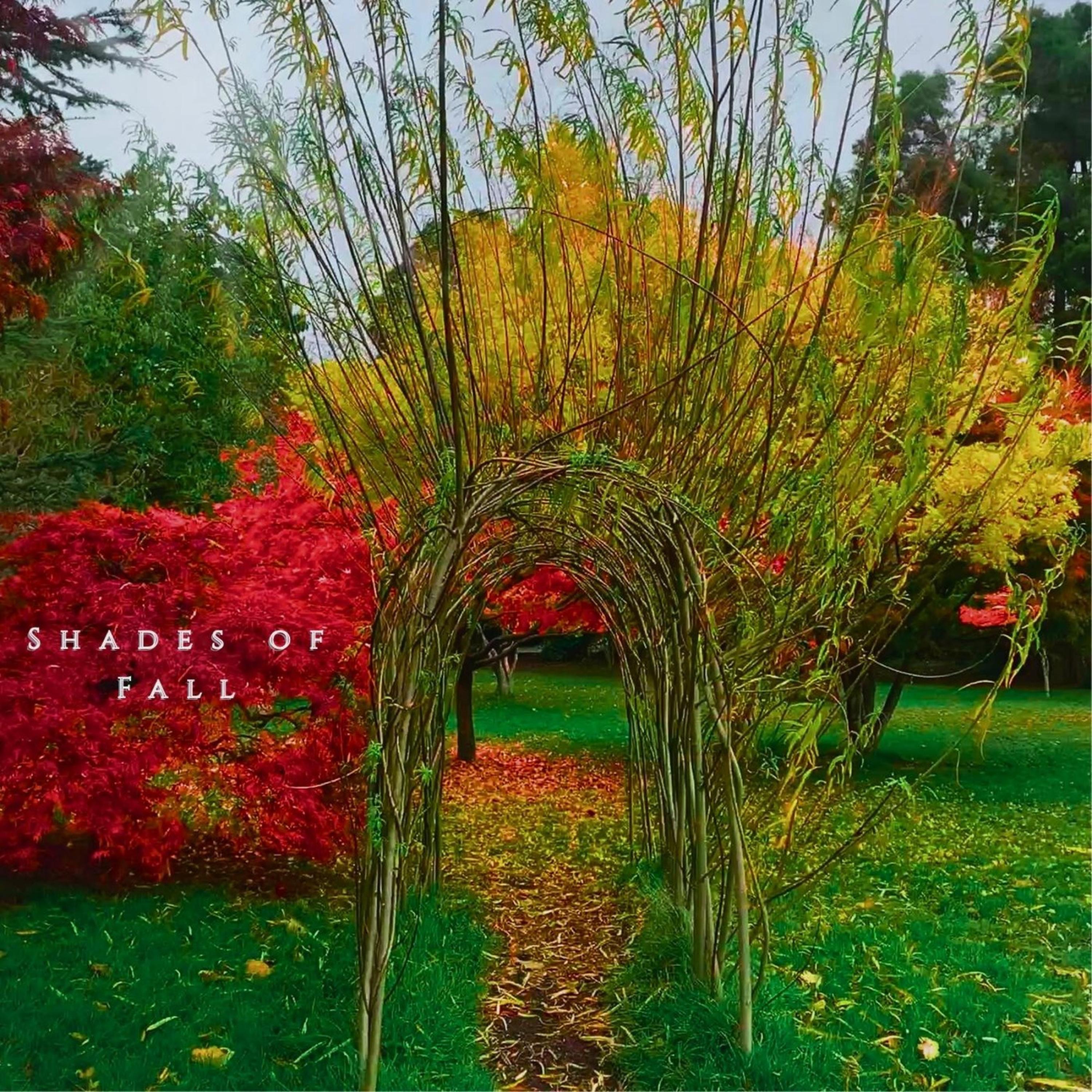 Shades of Fall - Single