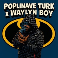 Bank plot - Single - PoplinAve Turk