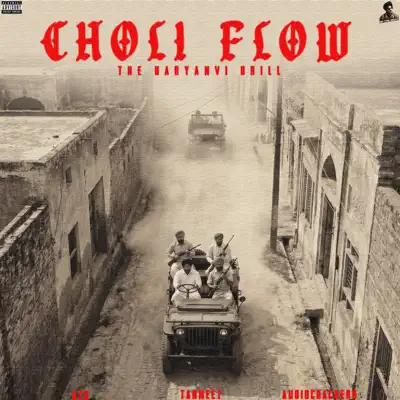 Listen to Choli Flow (feat. Audiocrackerr) - Single by TanmeeT & K28