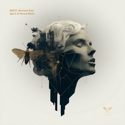 Spirit of House Music - Single