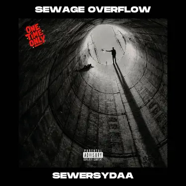 SEWAGE OVERFLOW