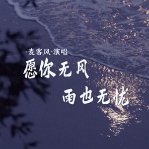 愿你无风雨也无忧 - Single
