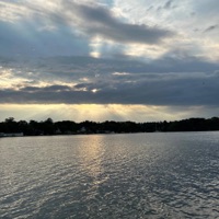 $ (feat. suki) - Single - meadowz