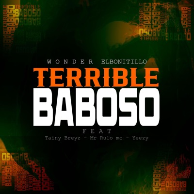 TERRIBLE BABOSO (feat. Tainy breyz, Mr rulo mc & Yeezy) - Single