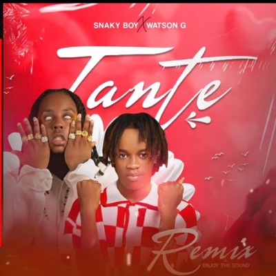 M Santi'm Tante (feat. Snaky Boy) - Single
