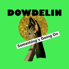 Dowdelin - Something's Going On