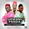 Ukwuani Panda artwork
