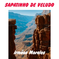 Sapatinho de Veludo