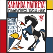The Pegasus Project: Pegasus & the Swan artwork