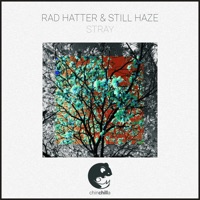 Stray - Single - Rad Hatter & Still Haze