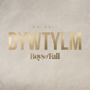 DYWTYLM - Single