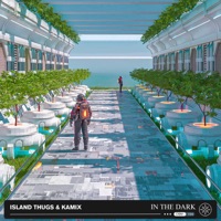 In The Dark - Single - Island Thugs & Kamix