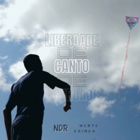 Canto de Liberdade - Single - NDR & Mente Gringa