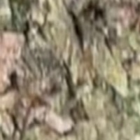 DRG CBD PACK (2042) [feat. Dr. G] - Single - tshizwiz