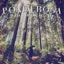 Ponderosa (feat. Van Bellman) - Single