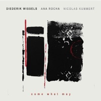Come What May - Diederik Wissels Ana Rocha Nicolas Kummert, Diederik Wissels, Ana Rocha & Nicolas Kummert