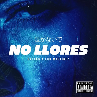NO LLORES (feat. Jotabe Negge & Luh Martinez) - Single