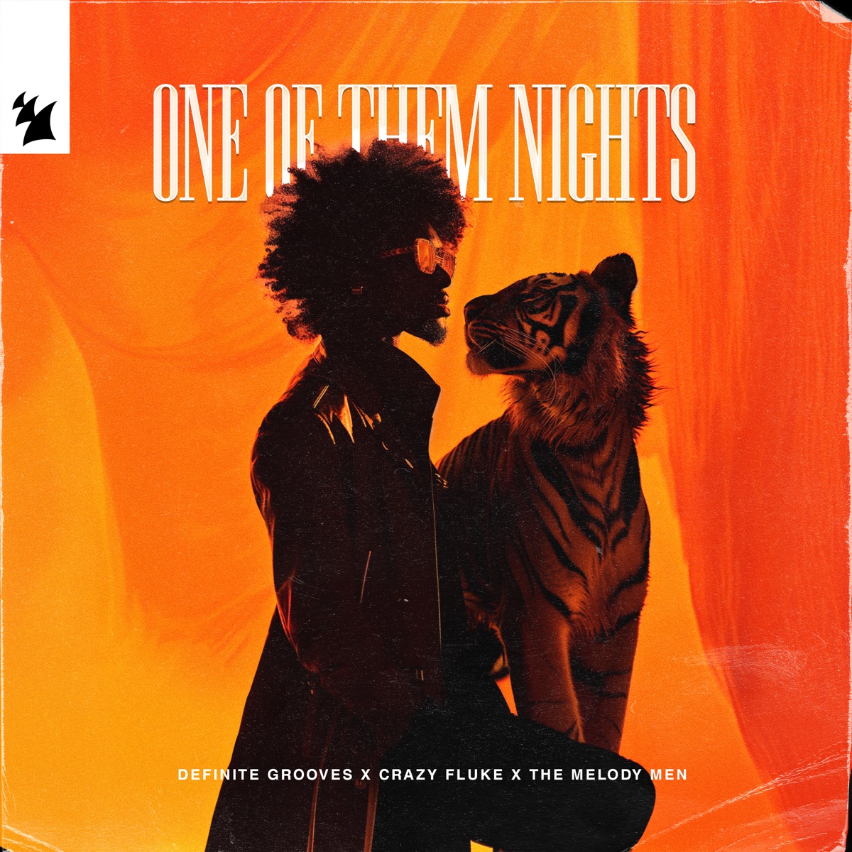 Pochette de One of Them Nights