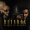 Blindog (feat. Blingos) - Blidog lyrics