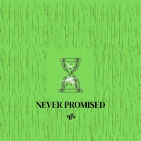 Never Promised - Single - Famo219