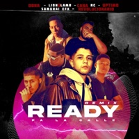 Ready Pá la Calle (feat. Revolucionario, Lion&Lamb, Cana Rc, Uptimo & Samurai Efx) - Single - Dona