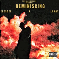 Reminiscing (feat. Lukay) - Single - Elesgee