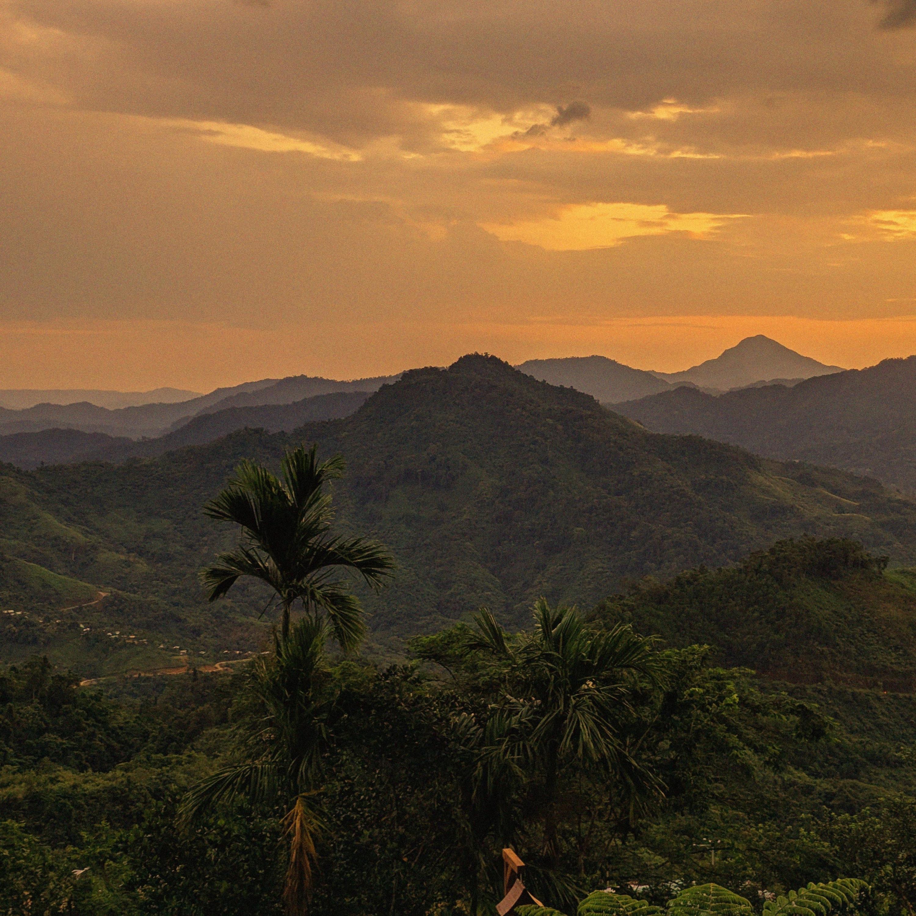 wish you could see it all - Single