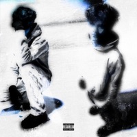 Double - Single - LINGUINI