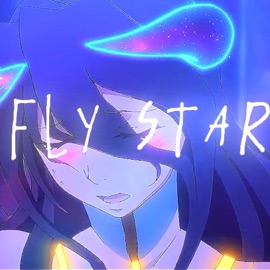 fly star AGR