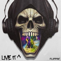 Live It^ - Single - Flippin'
