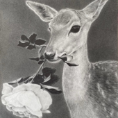 meaningful love (Instrumental)