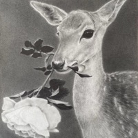 meaningful love - Single - Silo & Steven Cranberry