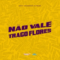 Não Vale um Real - Single - MC GT & Mc Elison SP