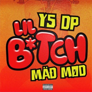 Lil Bitch (feat. Y5 DP)