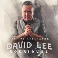 Vas A Llorar — David Lee Rodriquez
