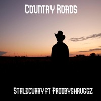 Country Roads (feat. prodbyshrugzz) - Single - Stalecurry