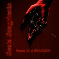 Saeta Sangrienta - Single - Fawno LC & MALGENI0