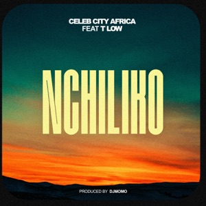 Nchiliko (feat. T Low) - Single