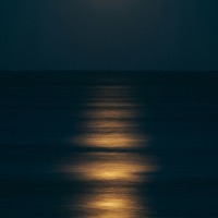 Pure - Single - Phonedown