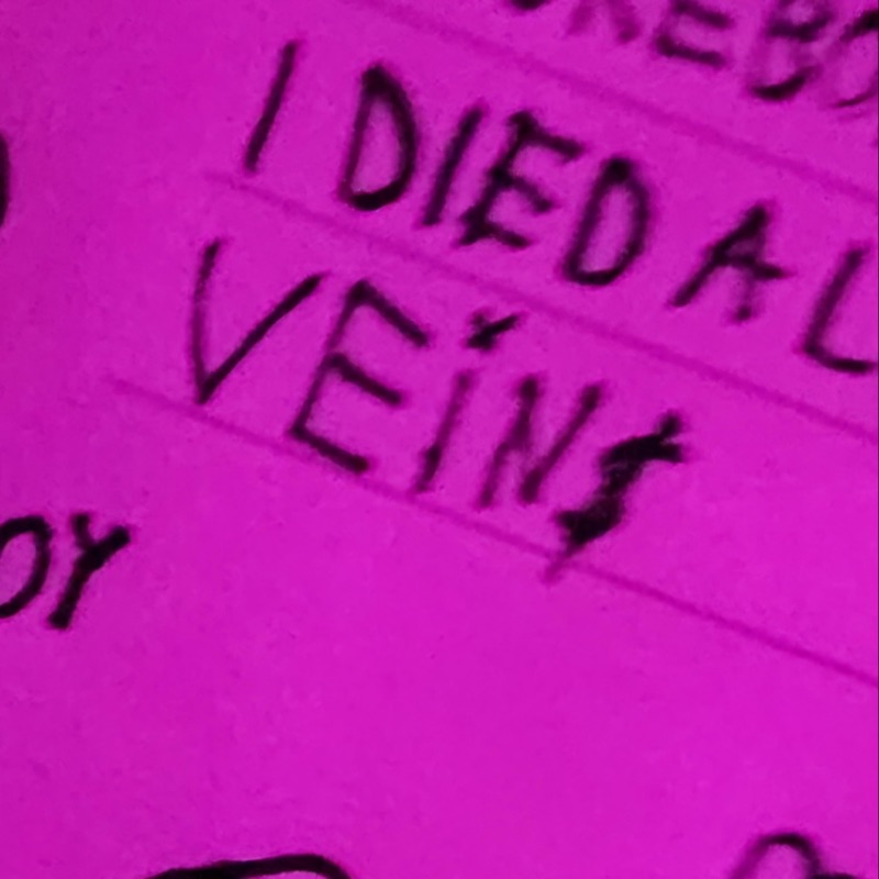 VEIN AKA_veins Song Lyrics, Music Videos & Concerts