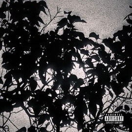 TE QUIERO (feat. Le Skank) Tekmé