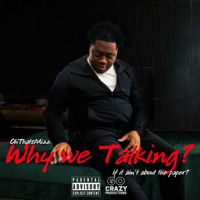 Why We Talking? - Single - Ohthatsmizz