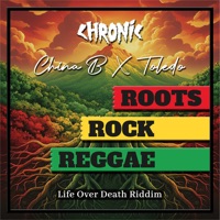 Roots Rock Reggae - Single - Chronic Sound, Toledo & China B