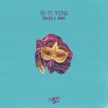 Is It You