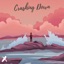 Crashing Down - Single